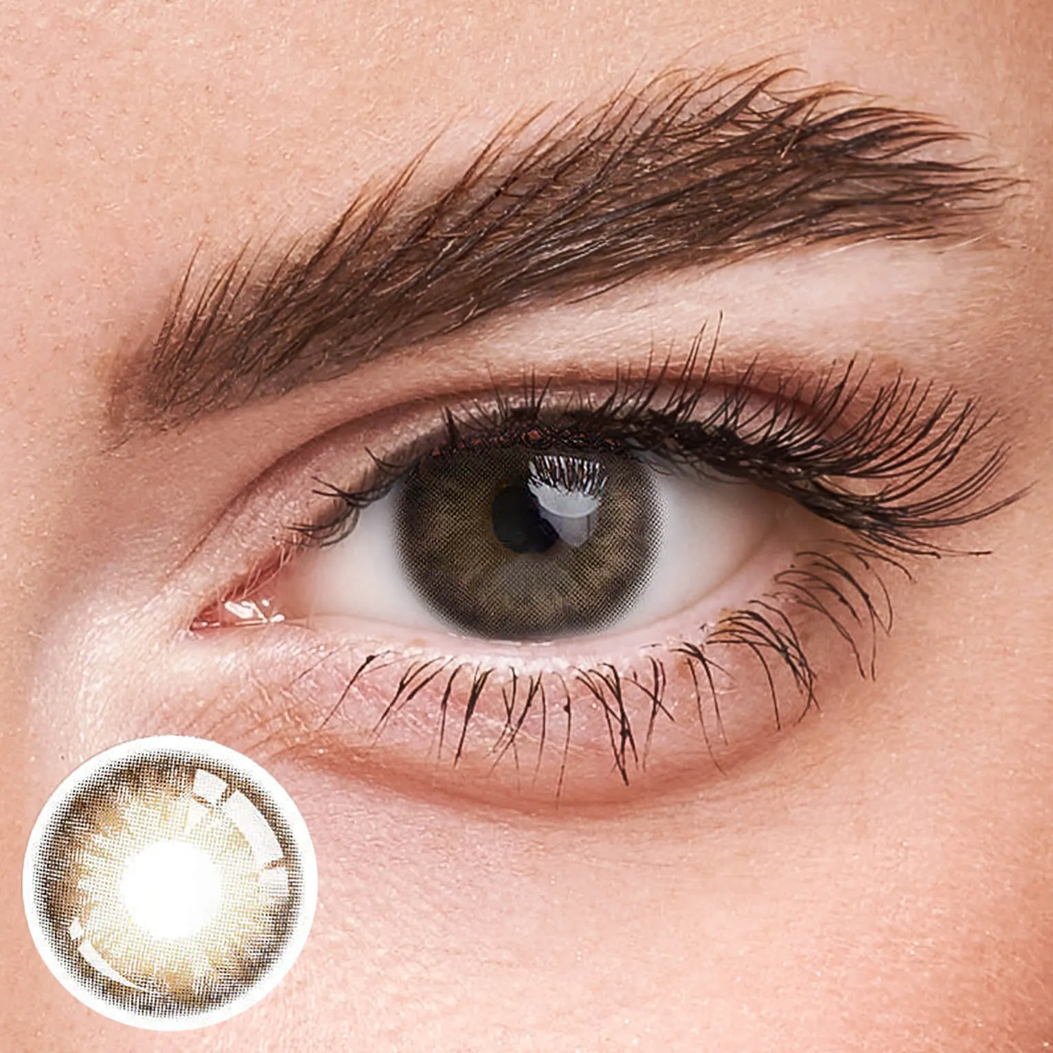 EyeLensy Cookie Brown | 1 Year