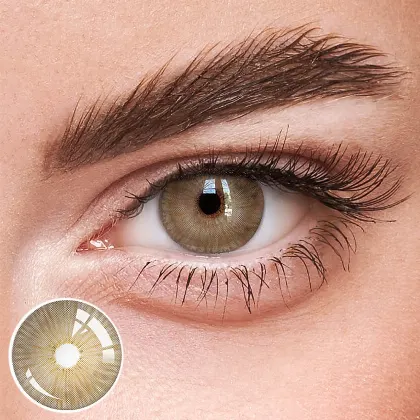 EyeLensy New York Brown  | 1 Year