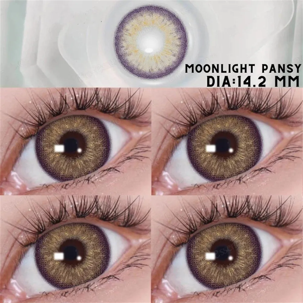 EyeLensy Moonlight Pansy Brown | 1 Year