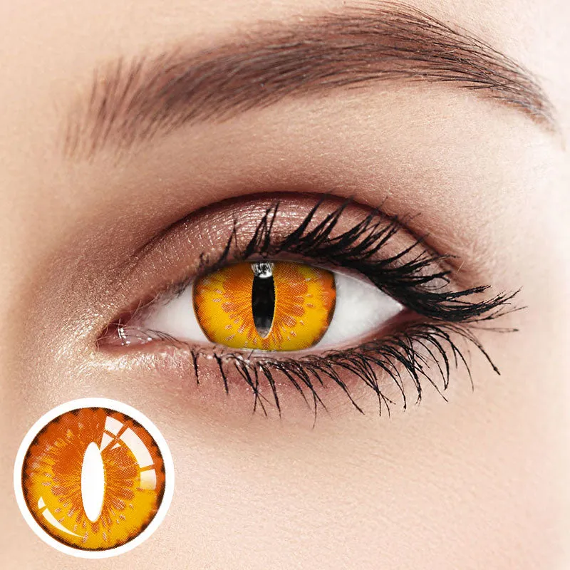 EyeLensy 드래곤 메이드 색렌즈 서클렌즈 1년