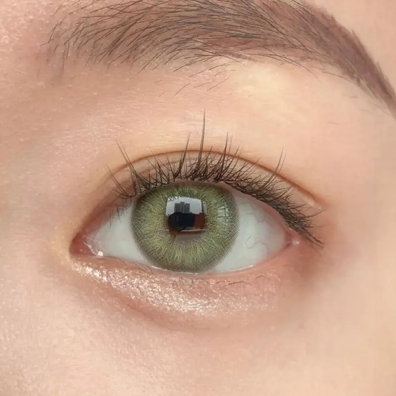 EyeLensy Shadow Moss | 6 Months