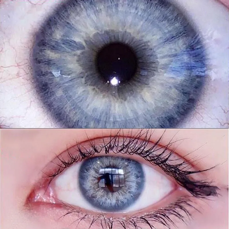 EyeLensy DNA Taylor Blue | 1 Year