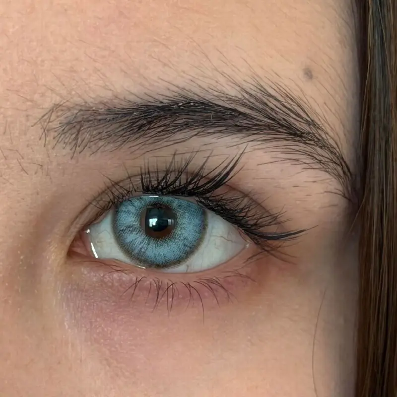 EyeLensy Peacock Feather | 1 Day