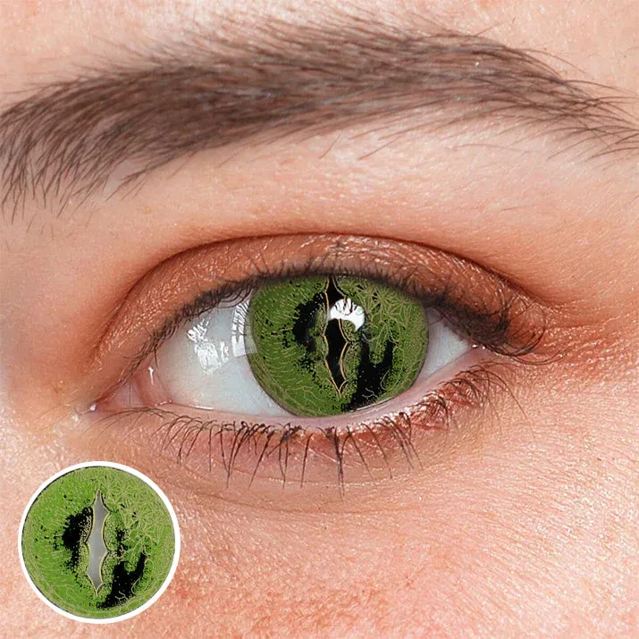 EyeLensy Giant Crocodile | 1 Year