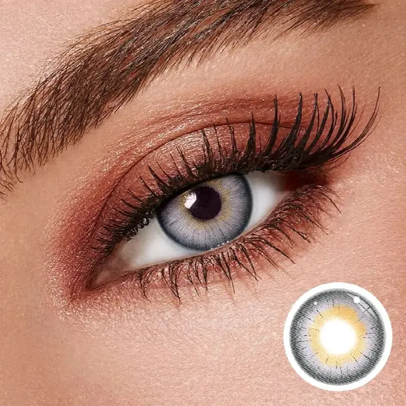 EyeLensy Oasis Purple | 1 Year