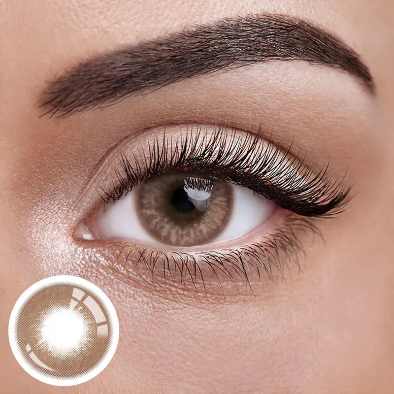 EyeLensy Marsala Brown | 1 Year