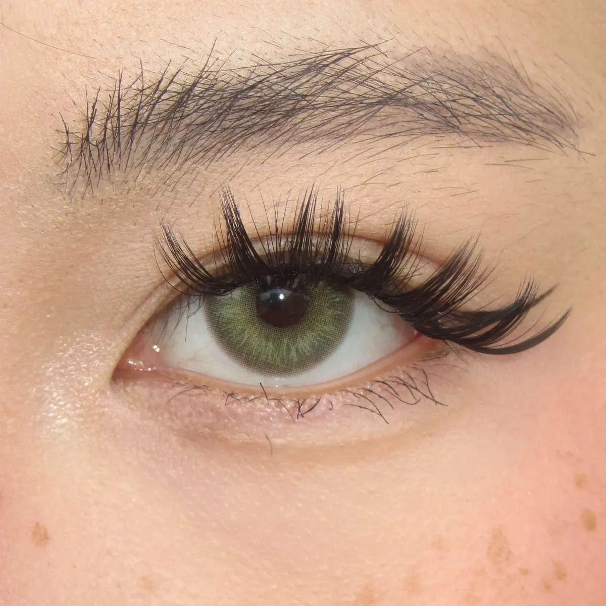 EyeLensy Shadow Moss | 6 Months