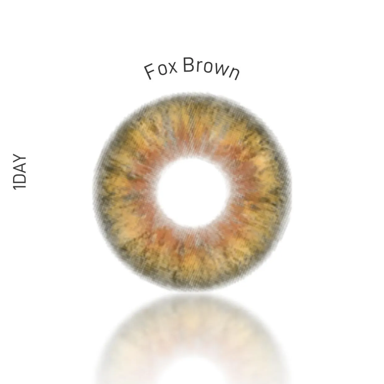EyeLensy Fox Honey | 1 Day
