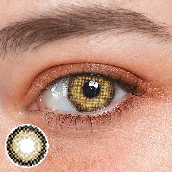 EyeLensy Cookie Brown | 1 Year