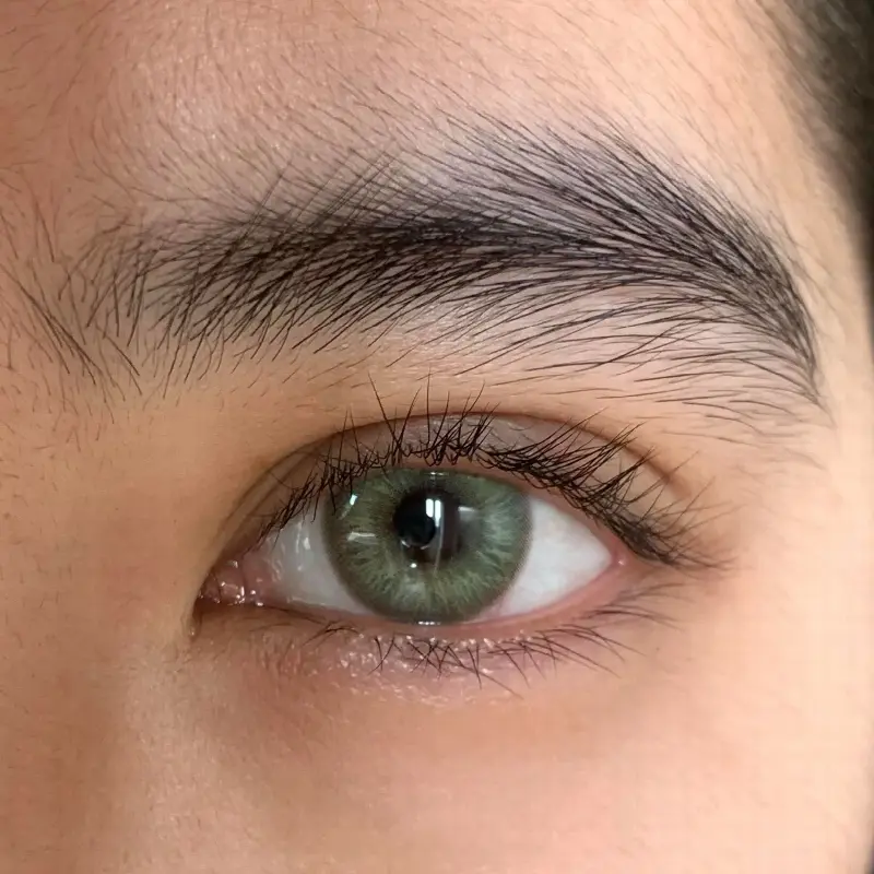 EyeLensy Shadow Moss | 6 Months