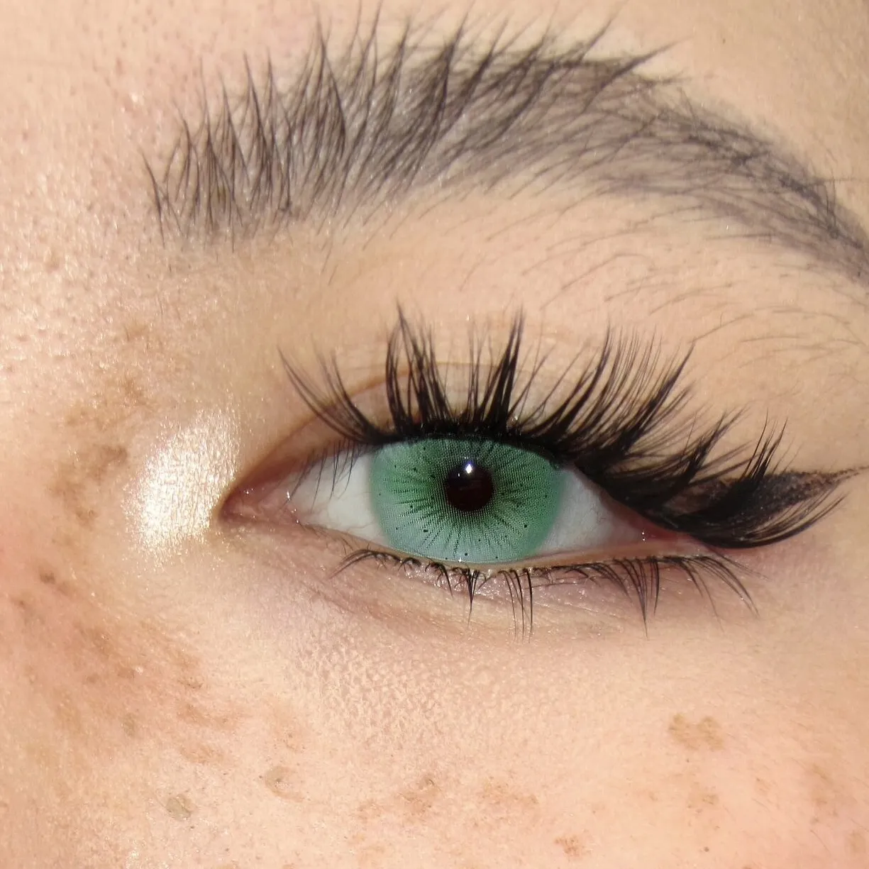 EyeLensy Mysteria Green | 6 Months